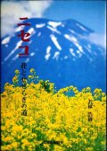 ニセコ 花とせせらぎの道★若林浩樹