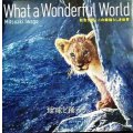 この素晴らしき世界 What a Wonderful World★写真:岩合光昭