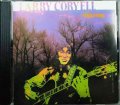 CD輸入盤★Offering★Larry Coryel ラリー・コリエル