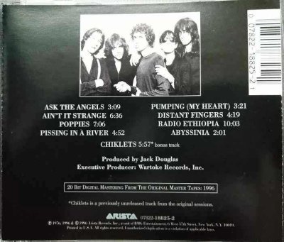 画像2: CD輸入盤★Radio Ethiopia★Patti Smith Group パティ・スミス★デジタルリマスター