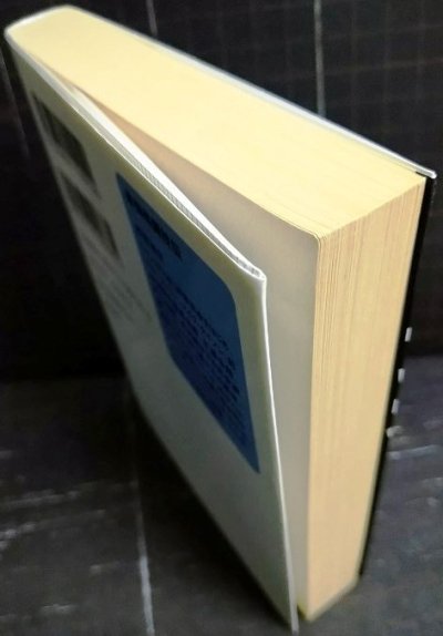 画像2: 最強格闘技伝 猛者たちの系譜★松宮康生★ぶんか社文庫