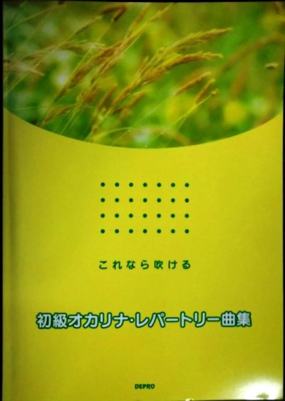 画像1: これなら吹ける 初級オカリナレパートリー曲集★全91曲収録