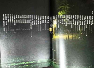 画像2: いま行っておきたい秘境駅★牛山隆信