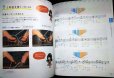 画像3: とってもやさしいカリンバ入門★Ｍｉｓａ★※音名ステッカー欠 (3)