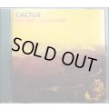 CD輸入盤★One Way...Or Another★Cactus カクタス