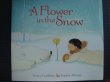 画像1: 洋書絵本★A Flower in the Snow★Tracey Corderoy & Sophie Allsopp