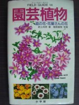 画像: フィールド・ガイド・シリーズ14 園芸植物 庭の花・花屋さんの花★肥土邦彦 植原直樹