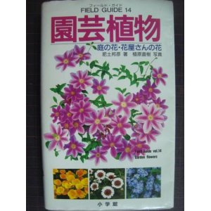 画像: フィールド・ガイド・シリーズ14 園芸植物 庭の花・花屋さんの花★肥土邦彦 植原直樹