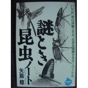画像: 謎とき昆虫ノート★矢島稔★NHKライブラリー