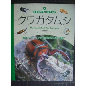 画像: 昆虫ビギナーズガイド クワガタムシ★築地琢郎