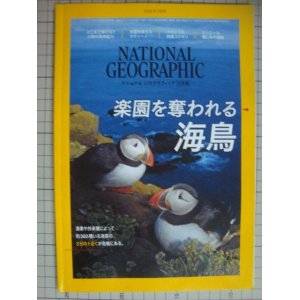 画像: NATIONAL GEOGRAPHIC ナショナルジオグラフィック日本版 2018年7月号★楽園を奪われる海鳥