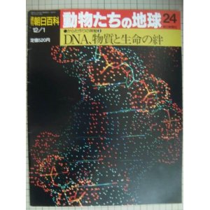 画像: 週刊朝日百科 動物たちの地球 24 からだ作りの神秘2★DNA、物質と生命の絆