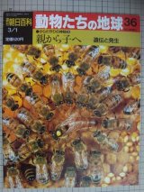 画像: 週刊朝日百科 動物たちの地球 36 からだ作りの神秘3★親から子へ 遺伝と発生