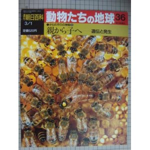 画像: 週刊朝日百科 動物たちの地球 36 からだ作りの神秘3★親から子へ 遺伝と発生