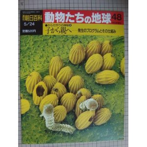 画像: 週刊朝日百科 動物たちの地球 48 からだ作りの神秘4★子から親へ 発生のプログラムとその仕組み