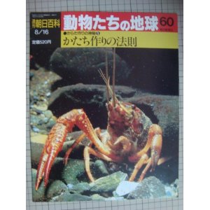 画像: 週刊朝日百科 動物たちの地球 60 からだ作りの神秘5★かたち作りの法則