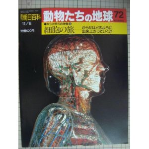 画像: 週刊朝日百科 動物たちの地球 72 からだ作りの神秘6★細胞の旅