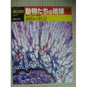 画像: 週刊朝日百科 動物たちの地球 84 からだ作りの神秘7★細胞の社会