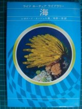 画像: ライフ・ネーシュア・ライブラリー 海★レオナード・エンジェル