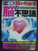 画像: オール図解 30分でわかる脳の不思議 構造から記憶・感情・感覚・運動のしくみまで★高島明彦監修