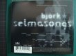 画像2: 輸入盤CD★Selma Songs★Bjork ビョーク