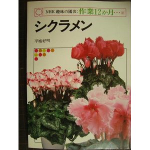 画像: NHK趣味の園芸・作業12か月 シクラメン★平城好明