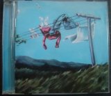 画像: 輸入盤CD★Hello, Dear Wind★Page France