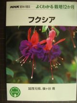 画像: NHK趣味の園芸 よくわかる栽培12か月 フクシア★加茂元照 篠ヶ谷喬