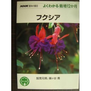 画像: NHK趣味の園芸 よくわかる栽培12か月 フクシア★加茂元照 篠ヶ谷喬