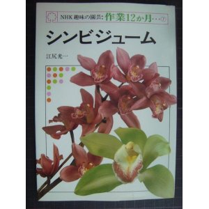 画像: NHK趣味の園芸・作業12か月7 シンビジューム★江尻光一