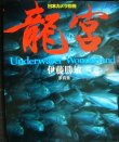 画像1: 伊藤勝敏写真集 龍宮 Underwater Wonderland　★日本カメラ別冊