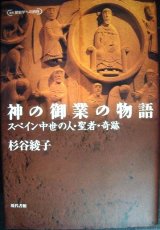 画像: 神の御業の物語 スペイン中世の人・聖者・奇跡★杉谷綾子★叢書歴史学への招待