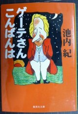 画像: ゲーテさんこんばんは★池内紀★集英社文庫