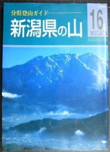 画像: 分県登山ガイド 16 新潟県の山★山と渓谷社