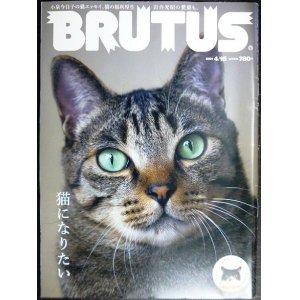 画像: BRUTUS ブルータス 2021年4月15日号 No.936★猫になりたい/小泉今日子・ますむらひろし・岩合光昭・松本零士/特製ふわもこシール付き