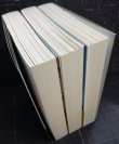 画像3: 小さき王たち 全3巻 第一部濁流/第二部泥流/第三部激流★堂場瞬一★ハヤカワ文庫