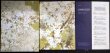 画像2: 図録★日本画の100年 東京国立近代美術館・東京藝術大学の所蔵品を中心に★東京藝術大学 大学美術館・2000年★美本