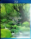 画像1: Blu-ray★virtual trip 屋久島 悠久の楽園