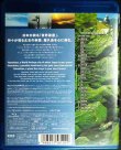 画像2: Blu-ray★virtual trip 屋久島 悠久の楽園