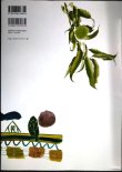 画像2: 岩田道夫の世界 ミクロコスモス★ぶねうま舎
