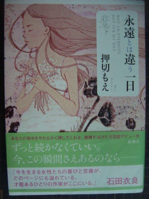 画像1: 永遠とは違う一日★押切もえ