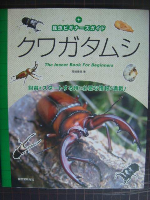 画像1: 昆虫ビギナーズガイド クワガタムシ★築地琢郎