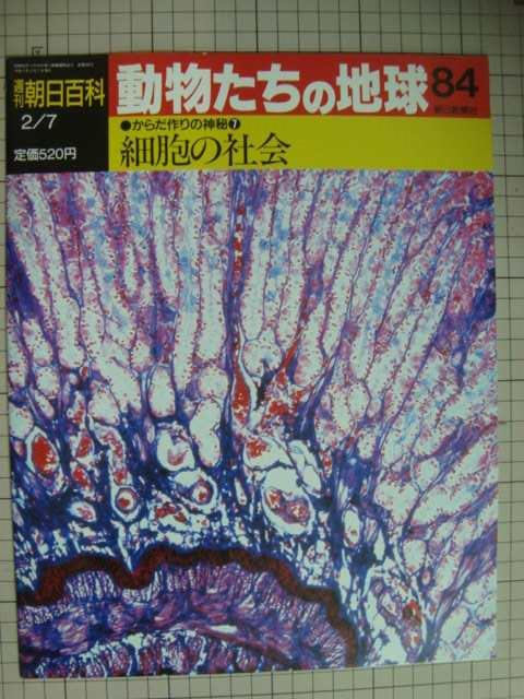 画像1: 週刊朝日百科 動物たちの地球 84 からだ作りの神秘7★細胞の社会