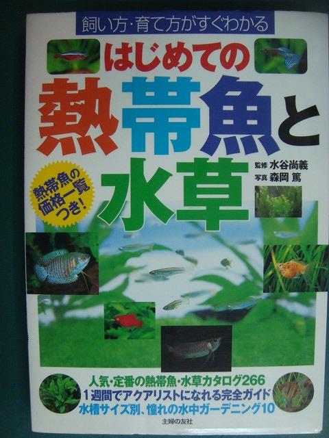 画像1: はじめての熱帯魚と水草 熱帯魚の価格一覧つき★水谷尚義 森岡篤