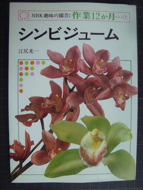 画像1: NHK趣味の園芸・作業12か月7 シンビジューム★江尻光一