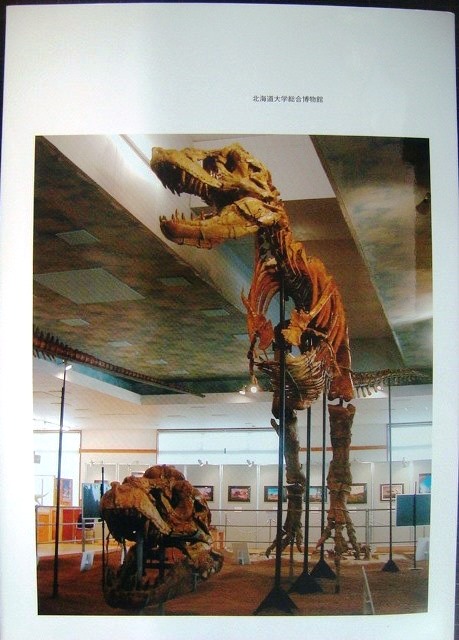 画像2: モンゴル大恐竜 ゴビ砂漠の大型恐竜と鳥類の進化★小林快次・久保田克博★北海道大学総合博物館