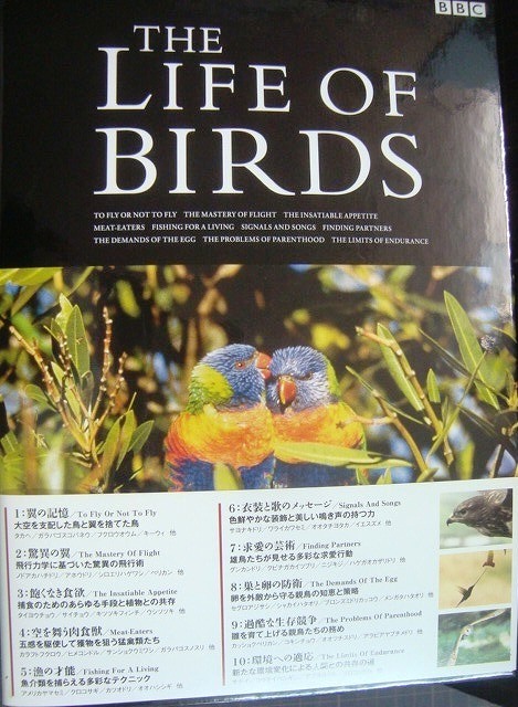 DVD ライフ・オブ・バーズ/鳥の世界 DVD-BOX-