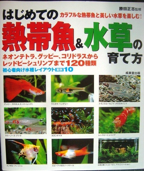 画像1: はじめての熱帯魚&水草の育て方 ネオンテトラ、グッピー、コリドラスから、レッドビーシュリンプまで120種★勝田正志監修★初心者向け水槽レイアウト実例10