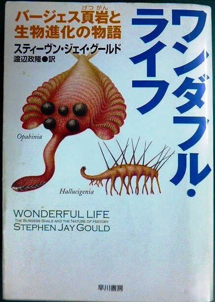 画像1: ワンダフル・ライフ バージェス頁岩と生物進化の物語★スティーヴン・ジェイ・グールド★ハヤカワ文庫NF