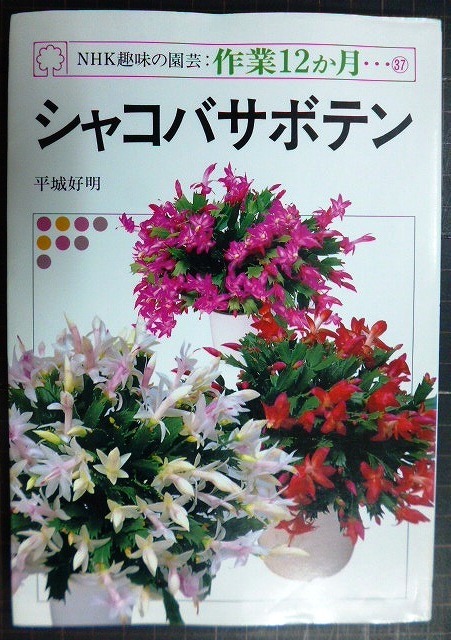 画像1: NHK趣味の園芸・作業12か月37 シャコバサボテン★平城好明